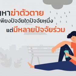 ปัญหาฆ่าตัวตาย ไม่ใช่เพียงปัจจัยใด ปัจจัยหนึ่ง แต่เป็นปัจจัยร่วม